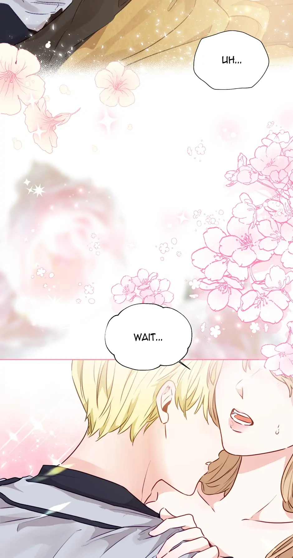 Stealing the Lady's Heart Chapter 11 - page 96