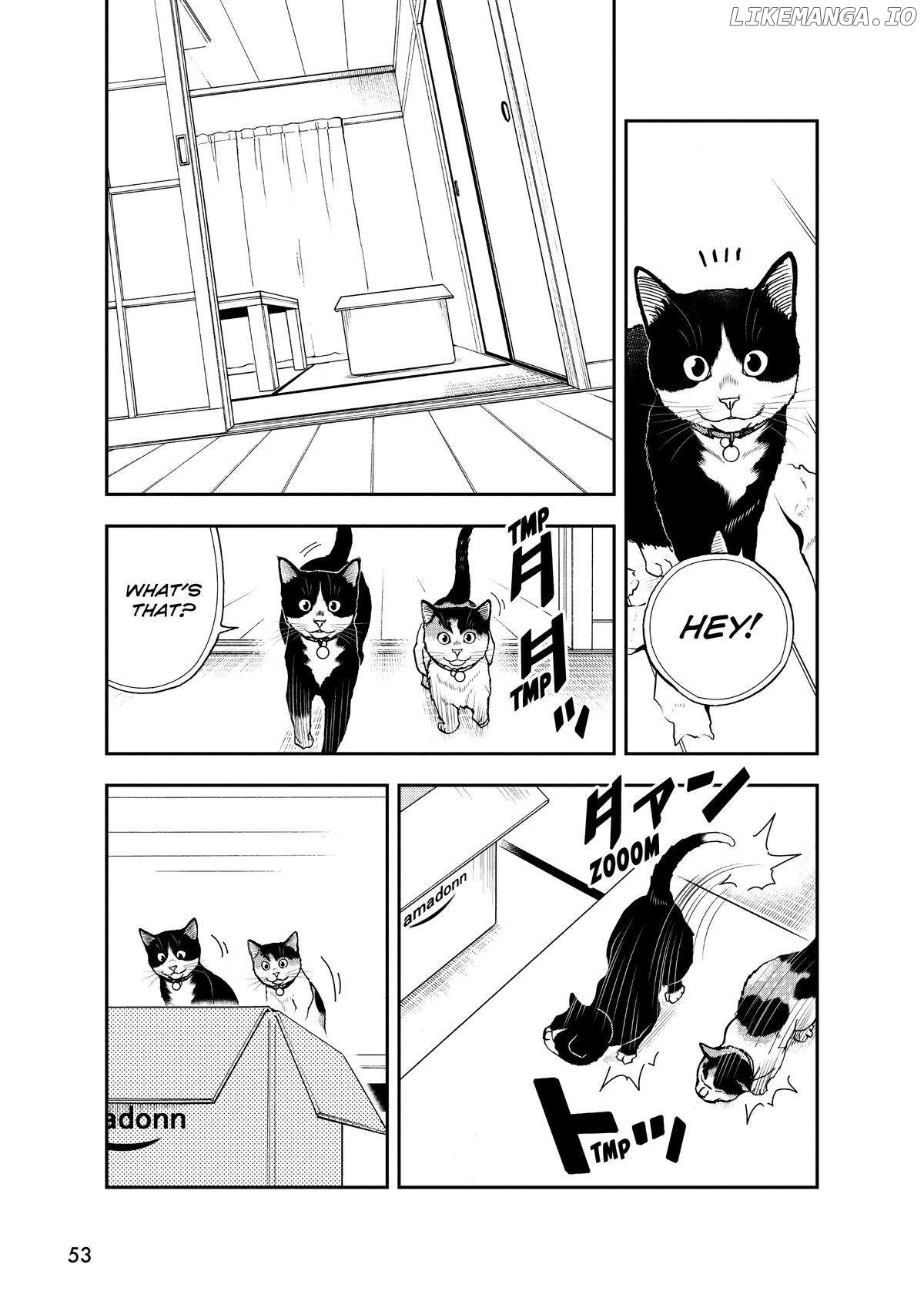 A Gamer Living With A Cat Chapter 38 - page 13