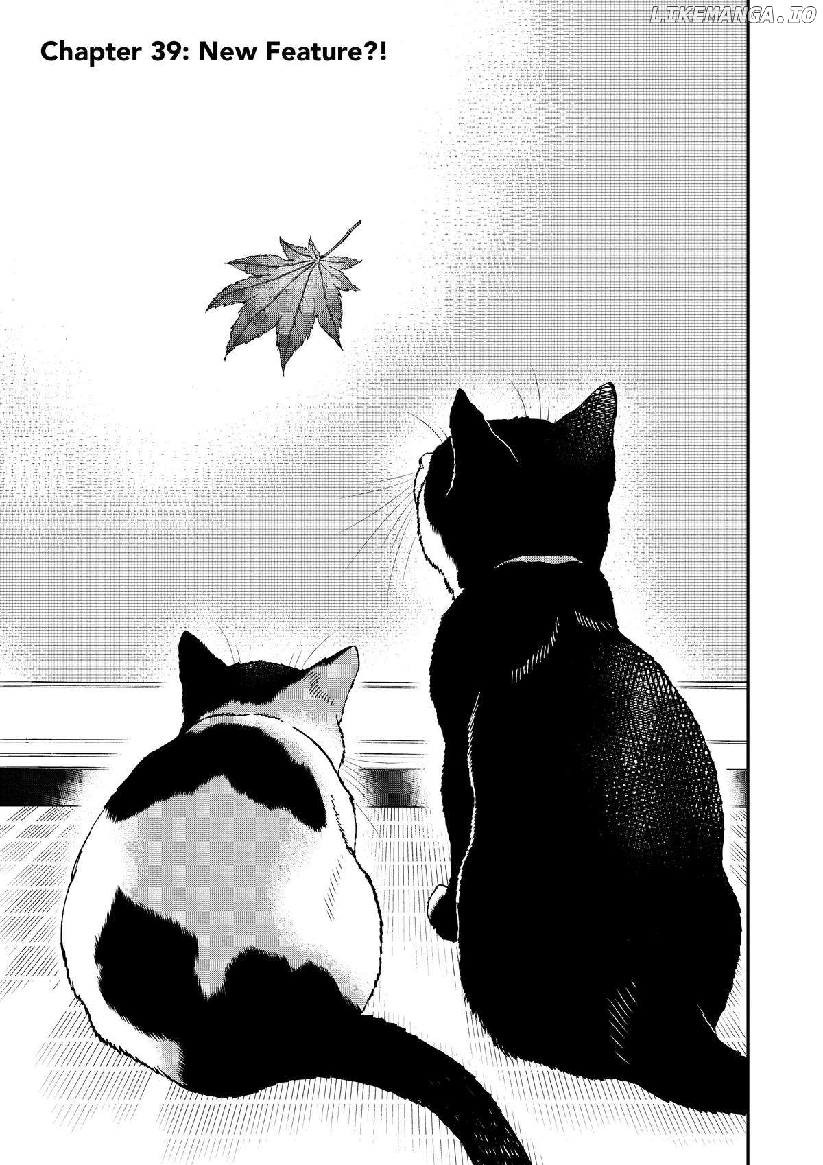 A Gamer Living With A Cat Chapter 39 - page 1