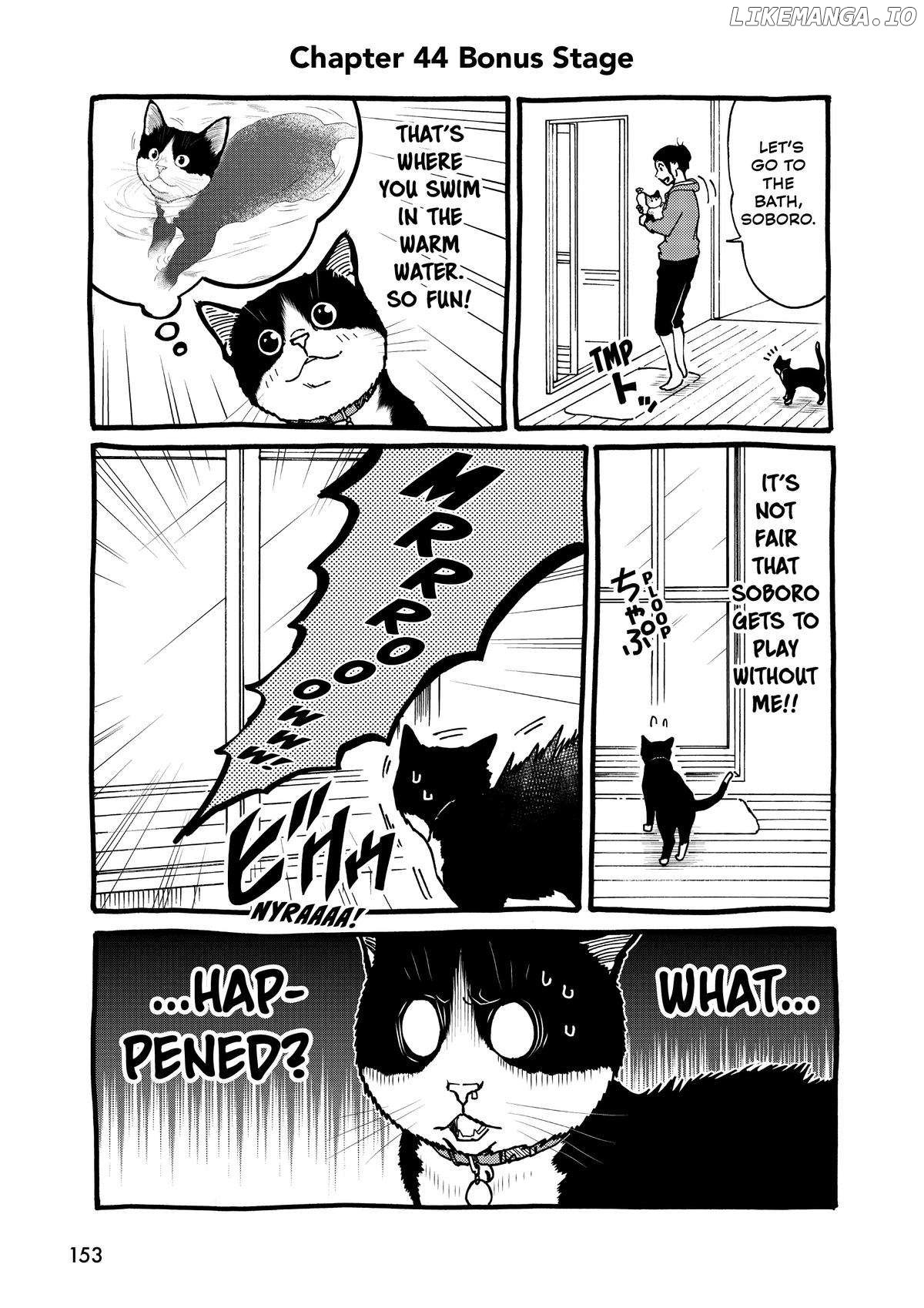 A Gamer Living With A Cat Chapter 44 - page 15