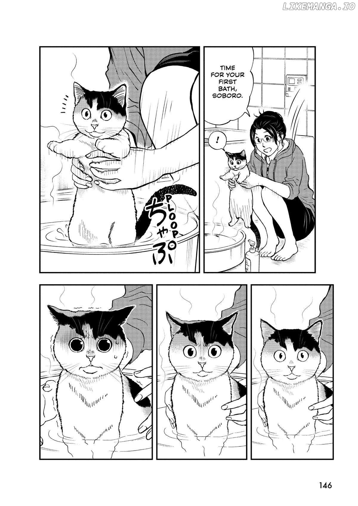 A Gamer Living With A Cat Chapter 44 - page 8