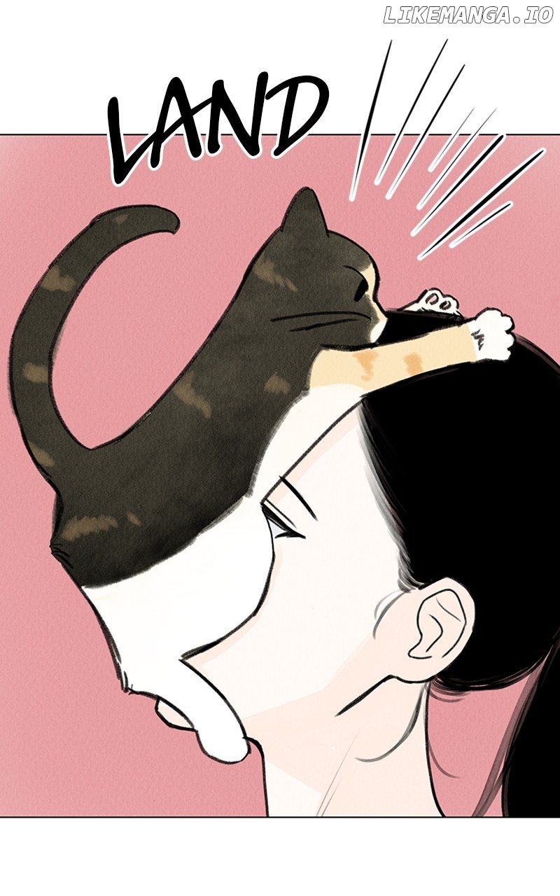 Want to See My Cat? Chapter 19 - page 35