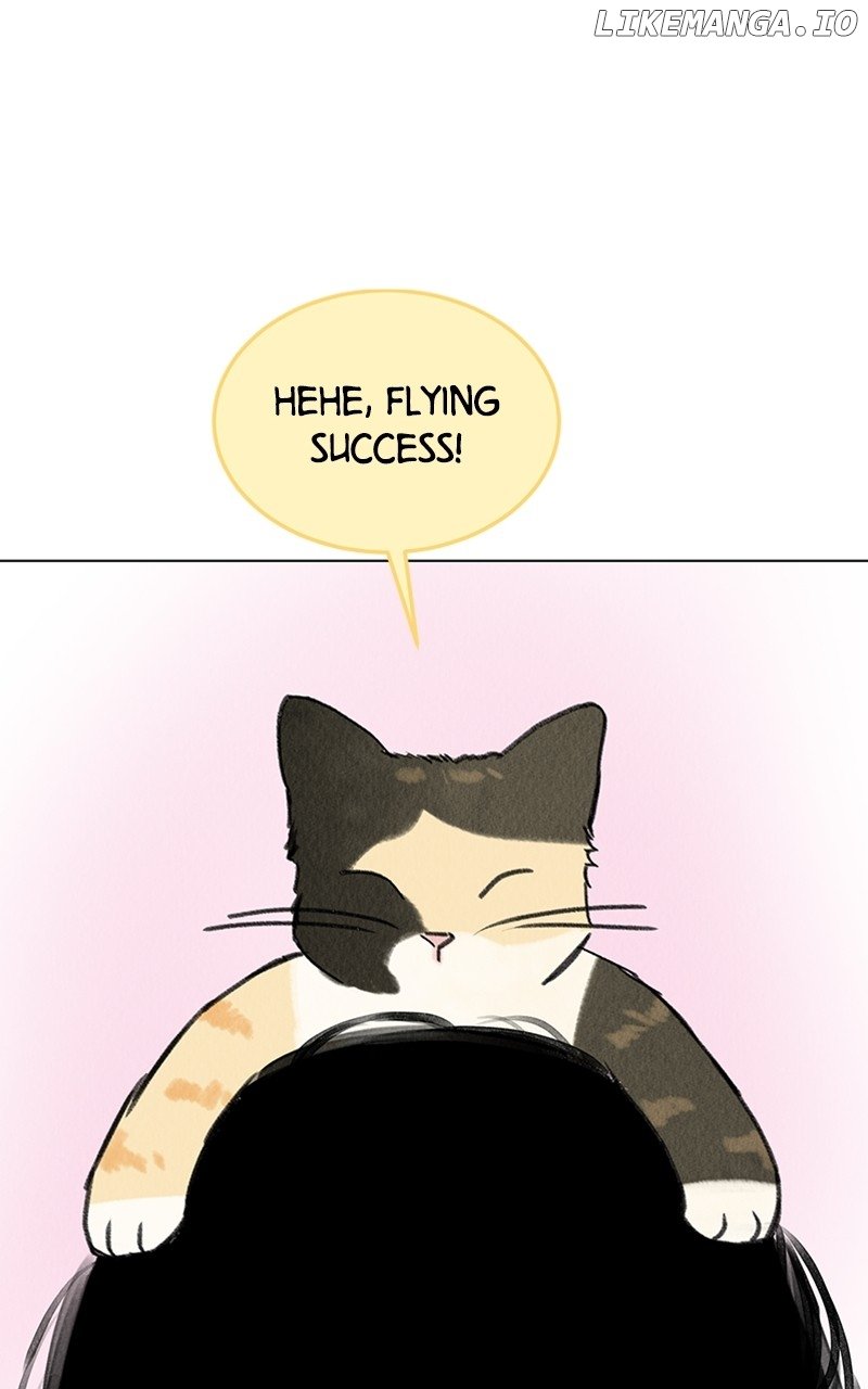 Want to See My Cat? Chapter 19 - page 36