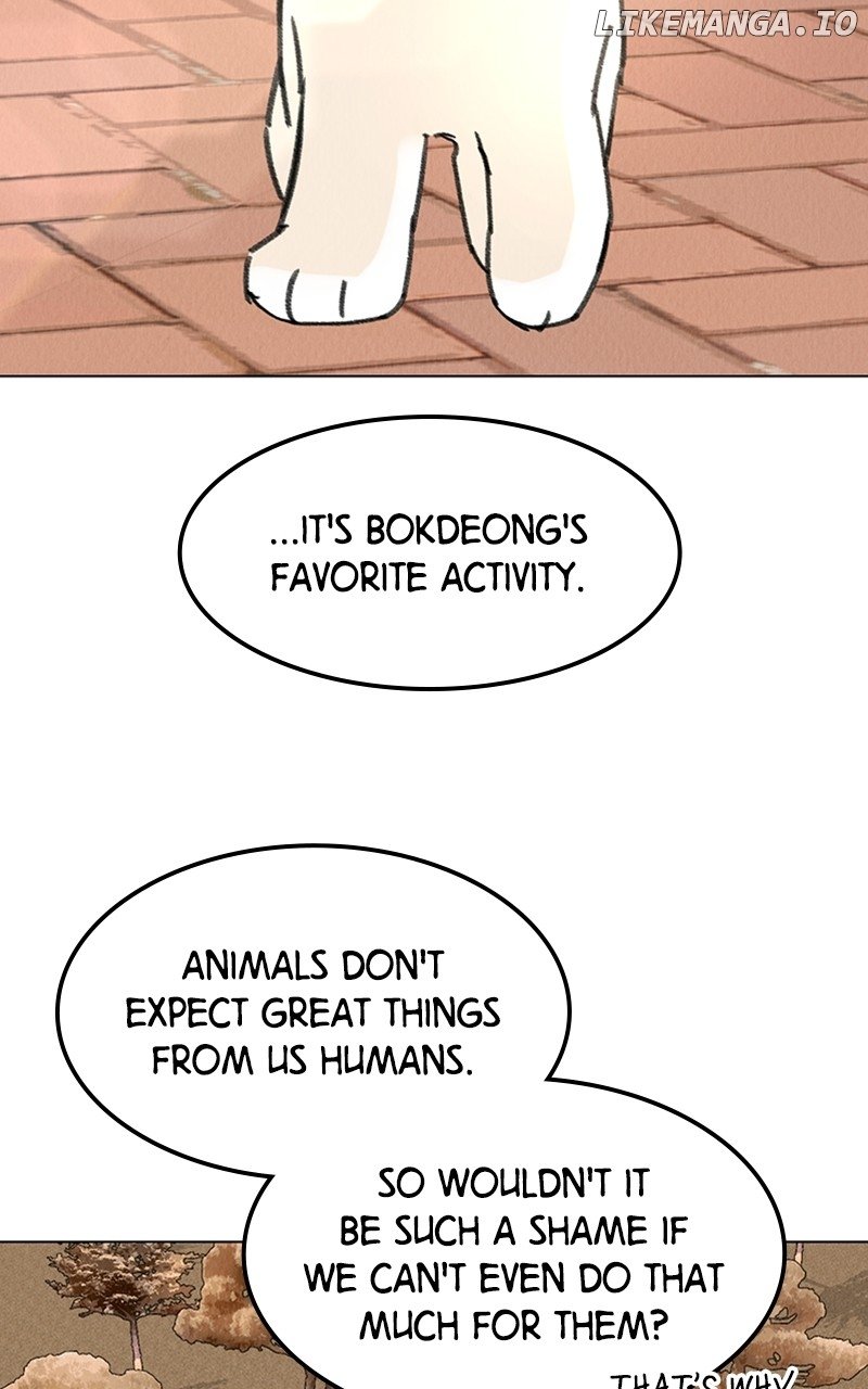 Want to See My Cat? Chapter 20 - page 36