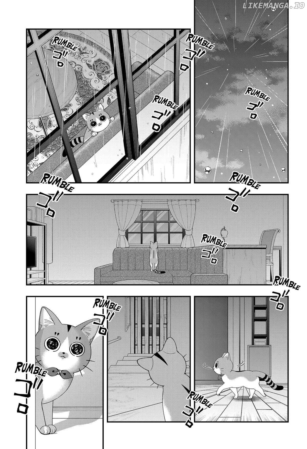 Taro Miyao Becomes A Cat Parent?! Chapter 12 - page 11