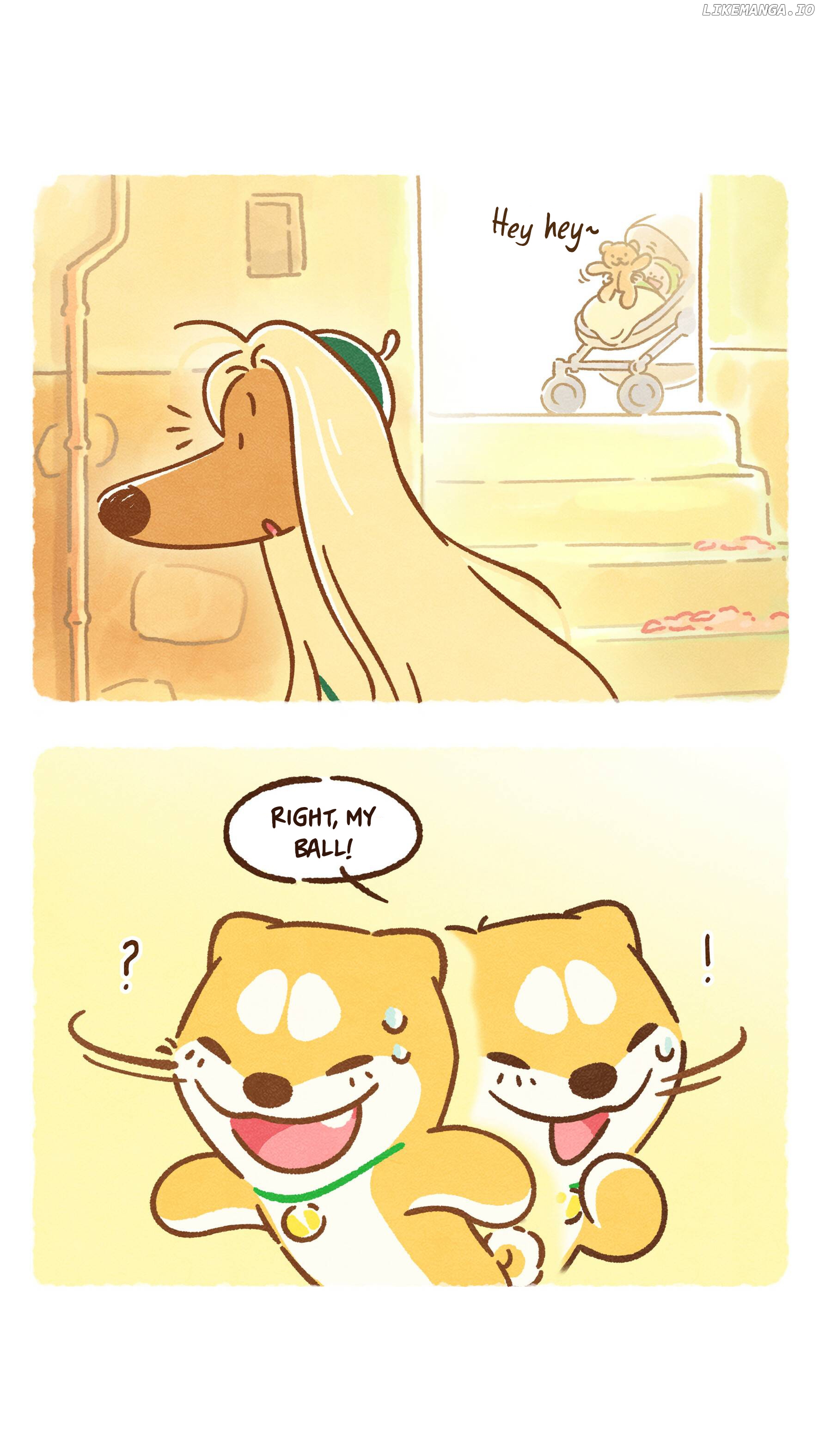 Doggie Corgi chapter 4 - page 5