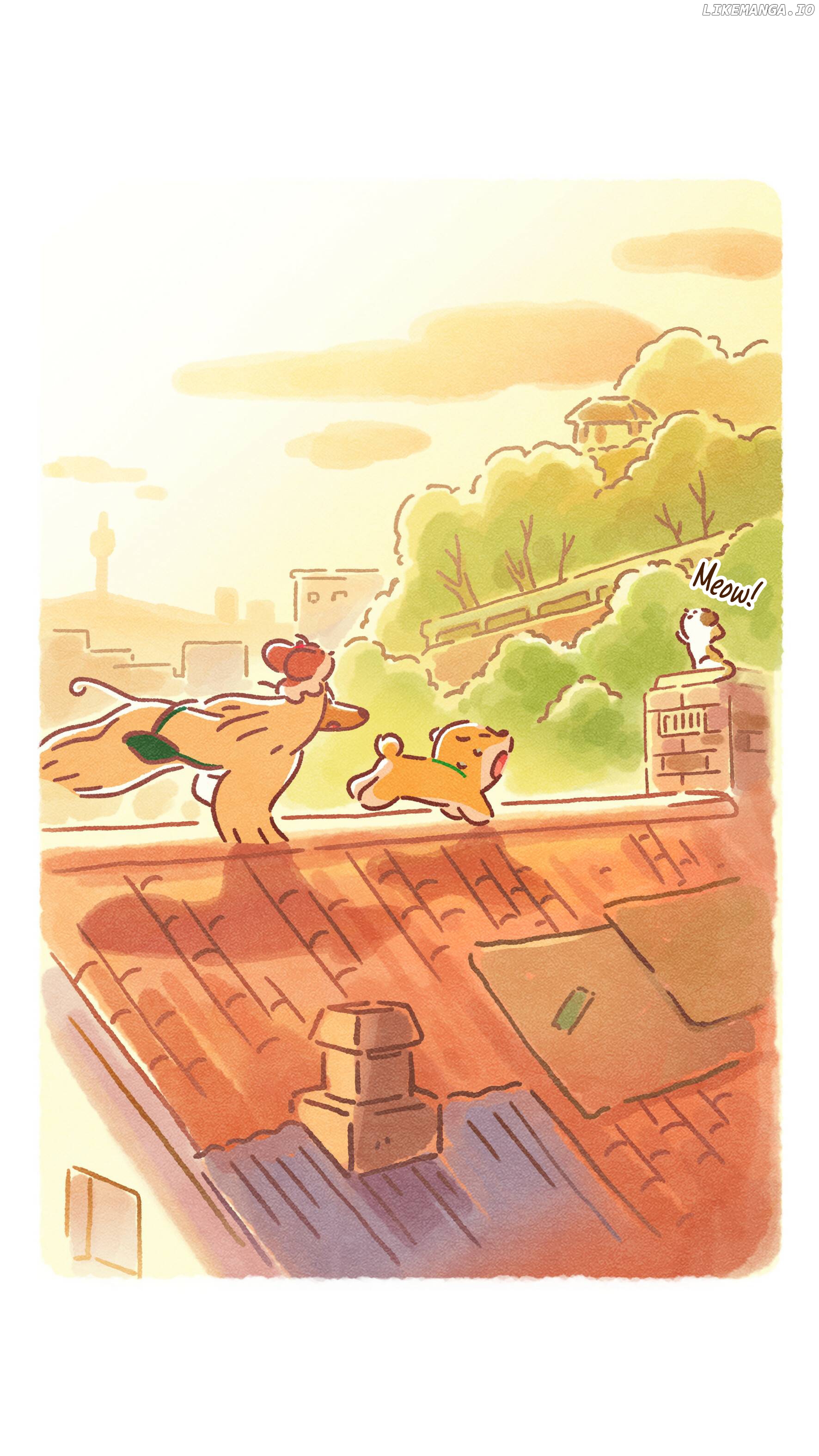 Doggie Corgi chapter 16 - page 11