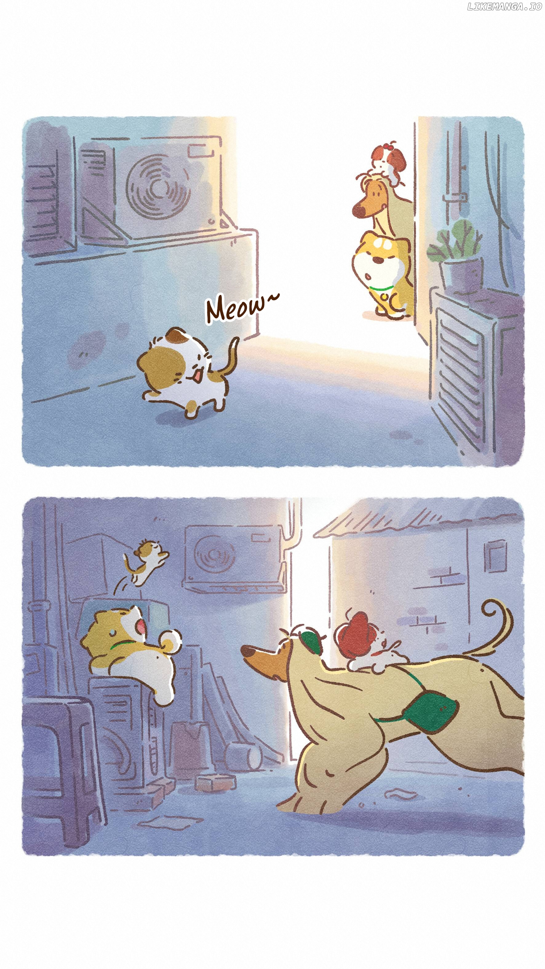 Doggie Corgi chapter 16 - page 9