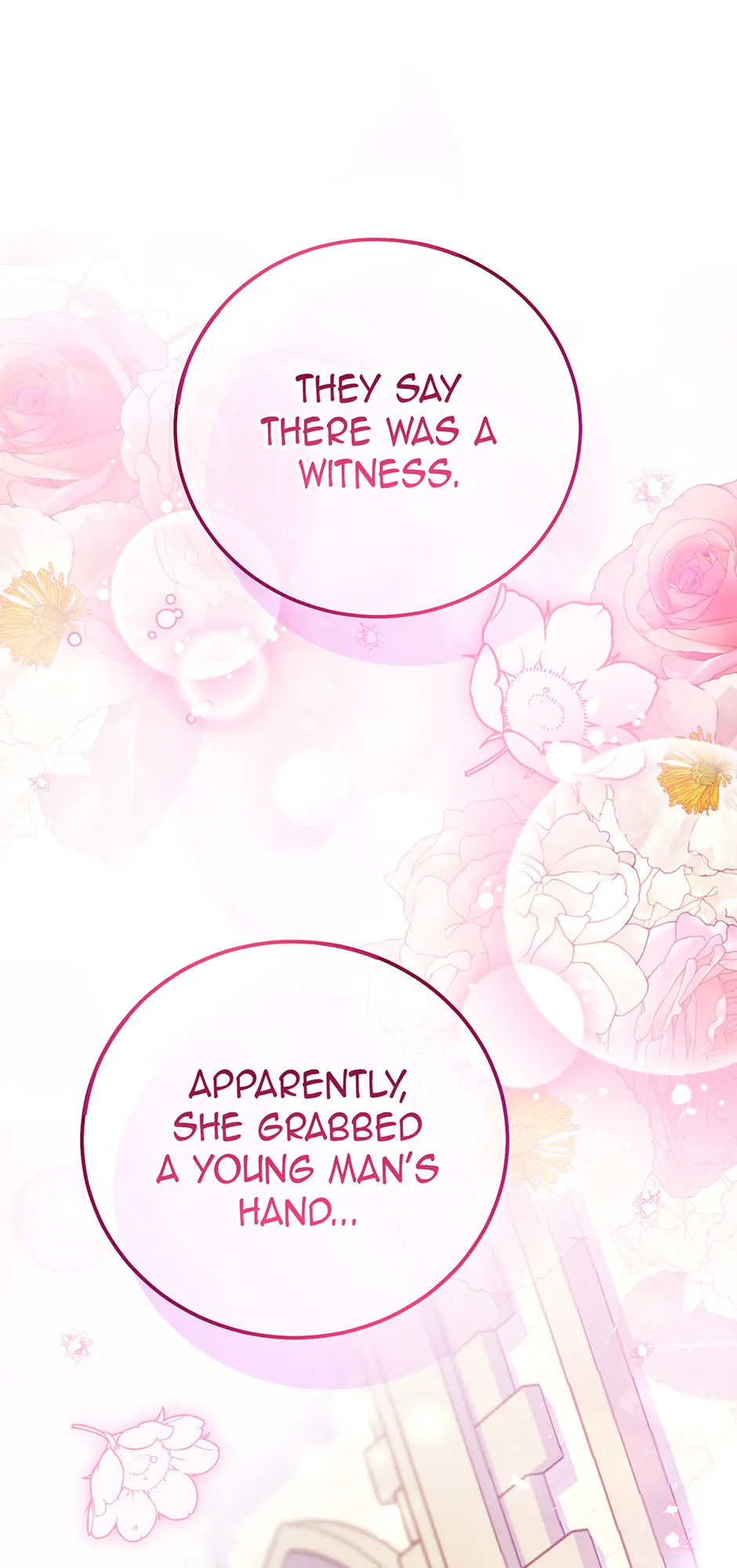 Stealing the Lady's Heart Chapter 114 - page 13