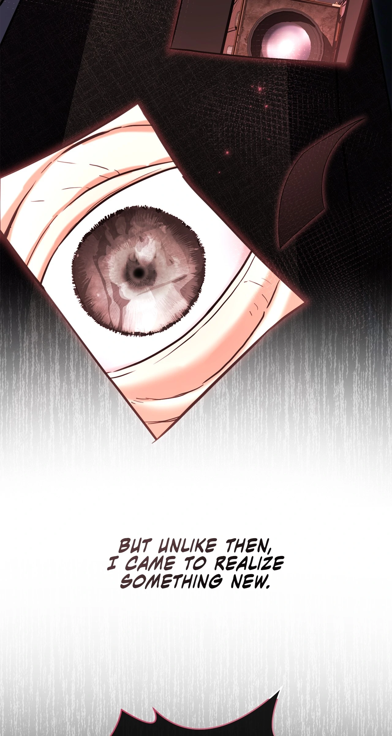 To My Husband’s Mistress Chapter 66 - page 10