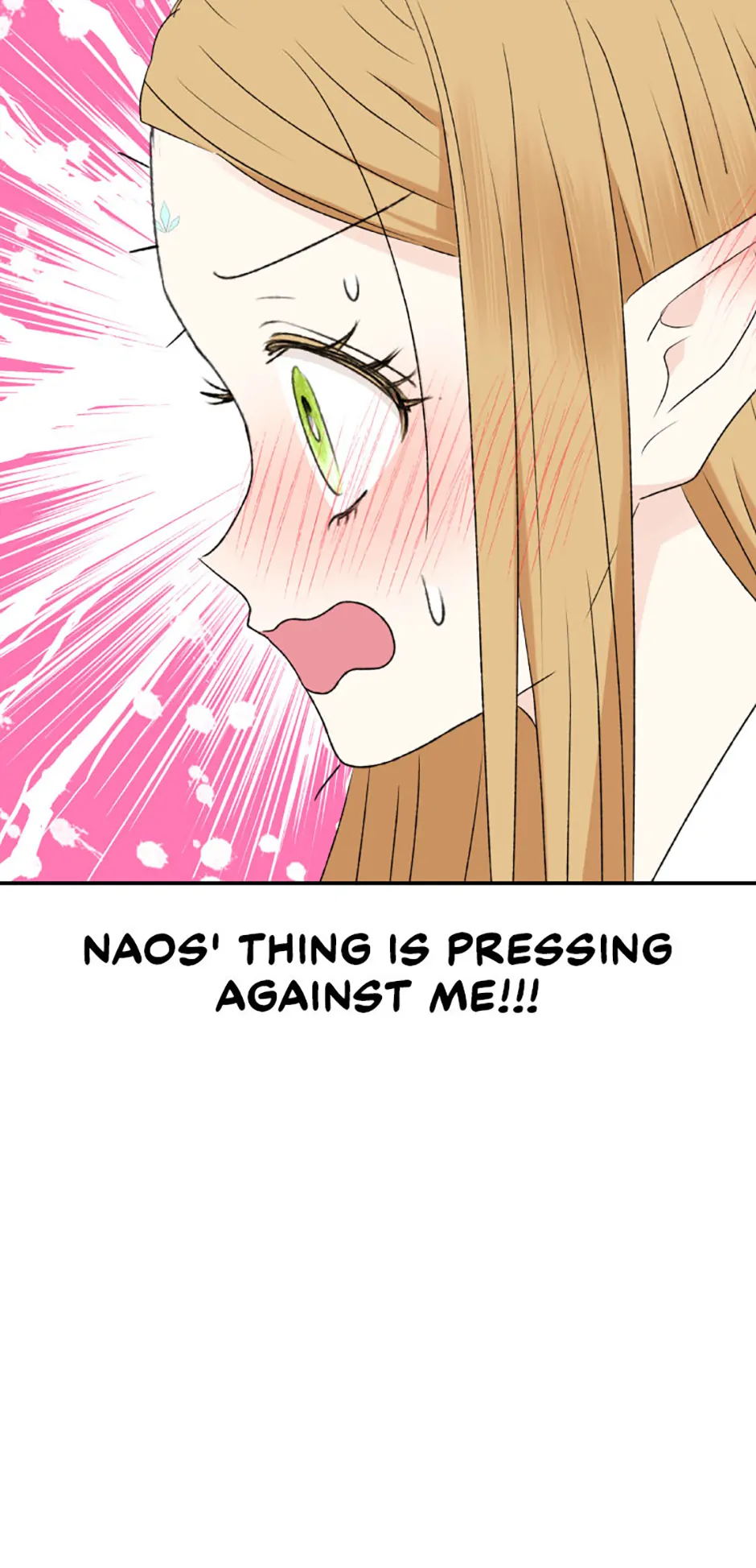 The Mating of Elves Chapter 35 - page 41