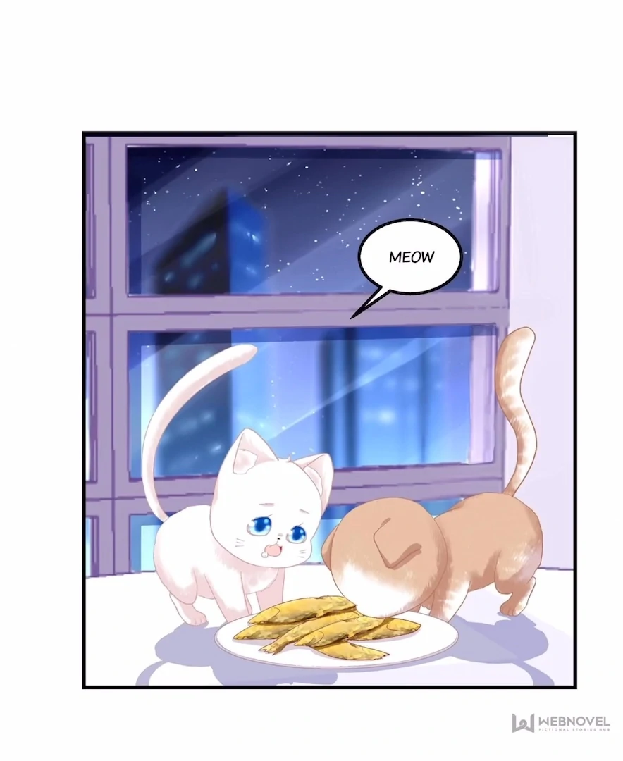 The Temptation of a Cat Demon Chapter 118 - page 58