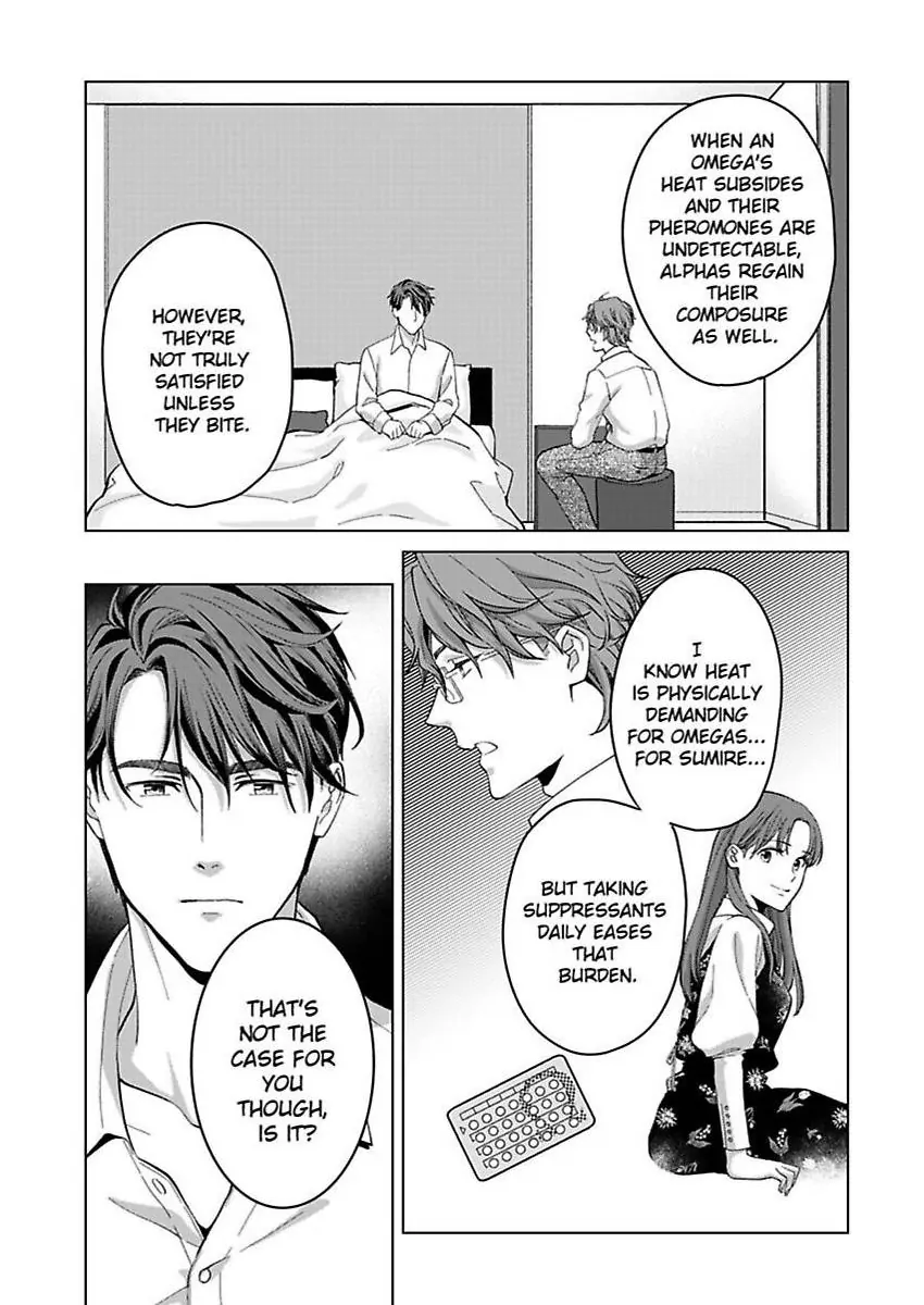 Destiny in the Heat ~A Reason to Bind to an Elite Alpha~ Chapter 33 - page 17