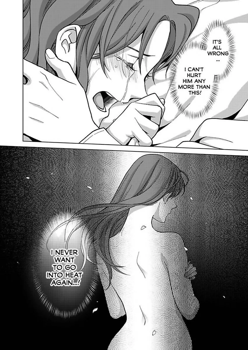 Destiny in the Heat ~A Reason to Bind to an Elite Alpha~ Chapter 33 - page 29