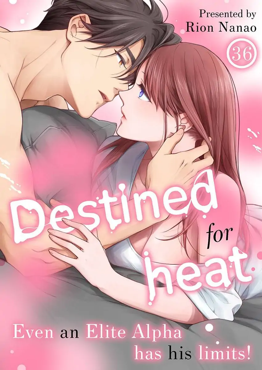 Destiny in the Heat ~A Reason to Bind to an Elite Alpha~ Chapter 36 - page 1