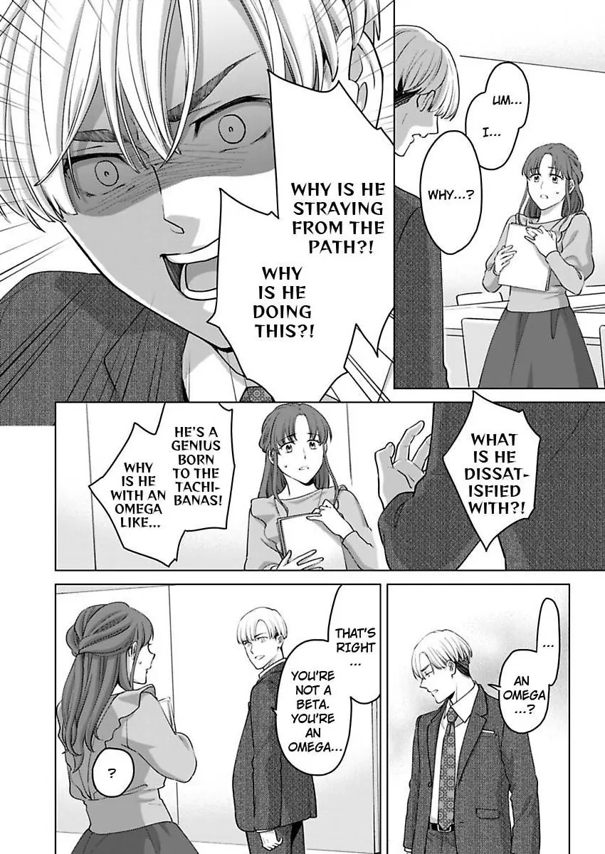 Destiny in the Heat ~A Reason to Bind to an Elite Alpha~ Chapter 38 - page 19
