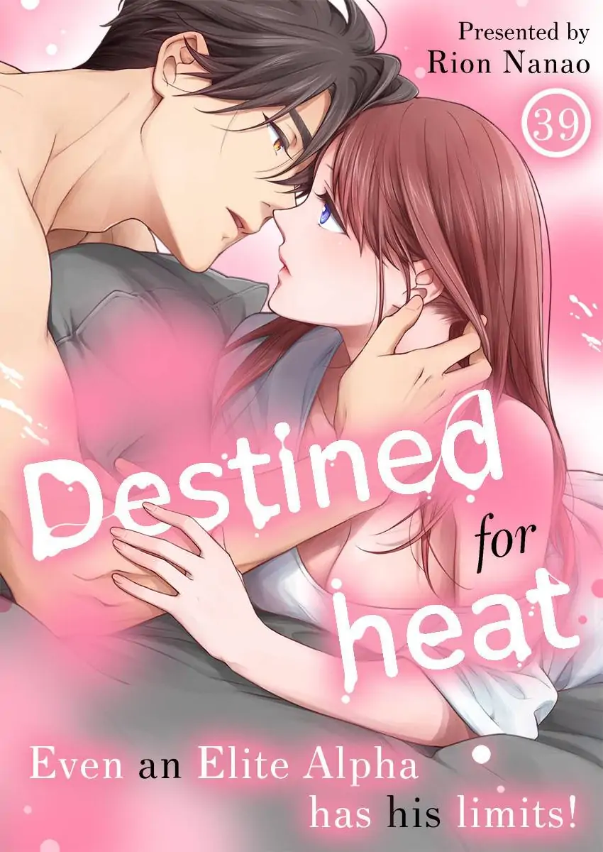 Destiny in the Heat ~A Reason to Bind to an Elite Alpha~ Chapter 39 - page 1