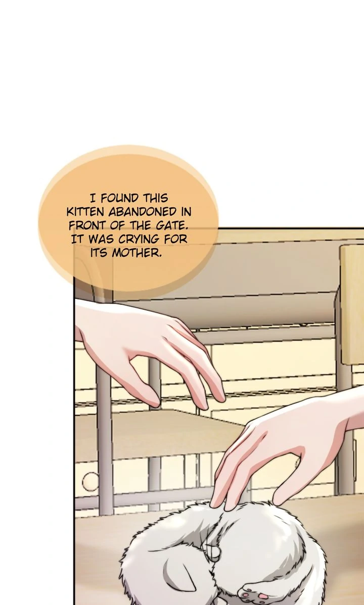 The Billionaire's Replacement Wife Chapter 34 - page 55