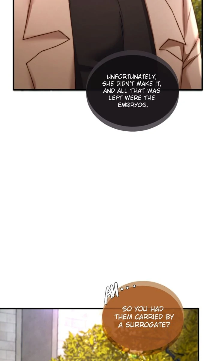 The Billionaire's Replacement Wife Chapter 35 - page 17