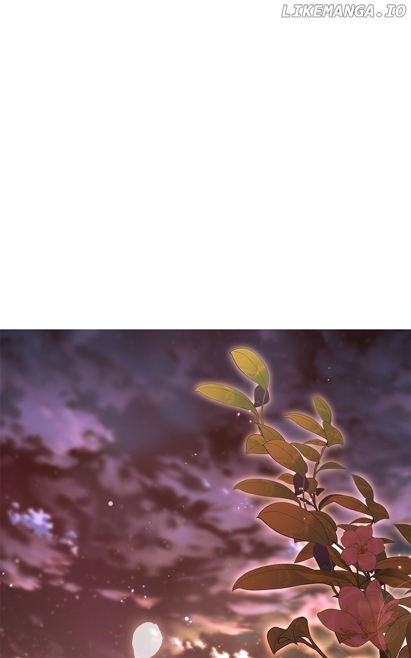 Don’t Grab the Broken Branch Chapter 53 - page 1