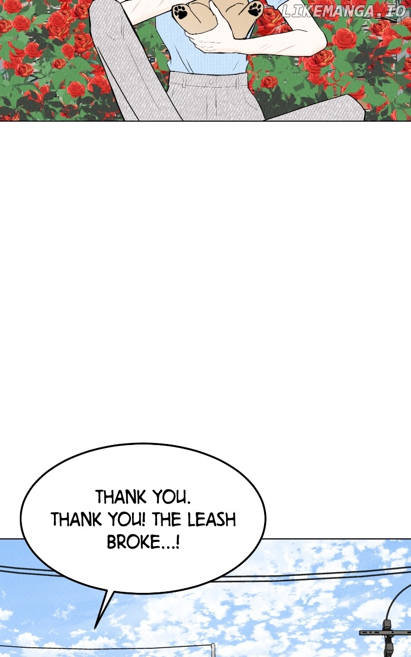 Want to See My Cat? Chapter 55 - page 61