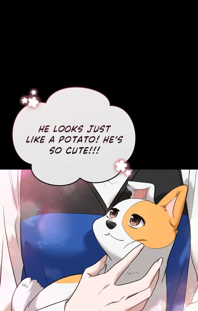 Doggy Romance Chapter 7 - page 70