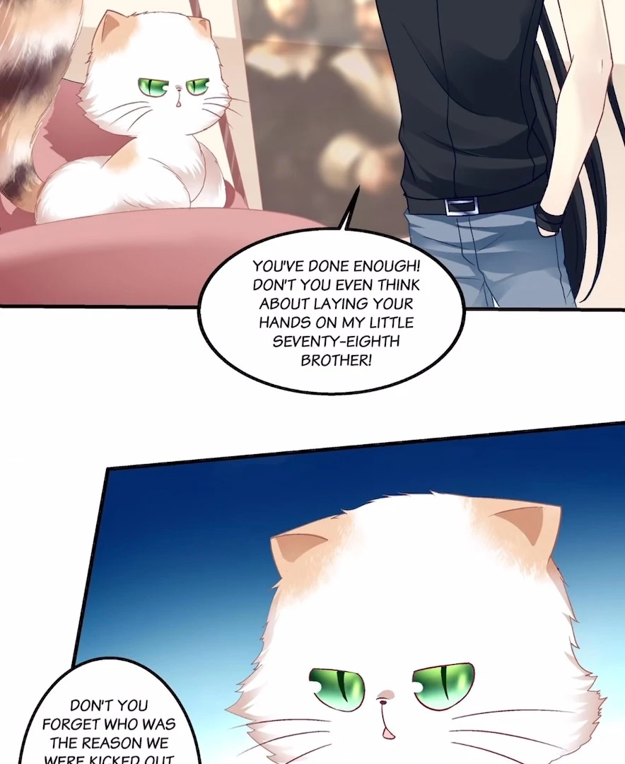 The Temptation of a Cat Demon Chapter 137 - page 25