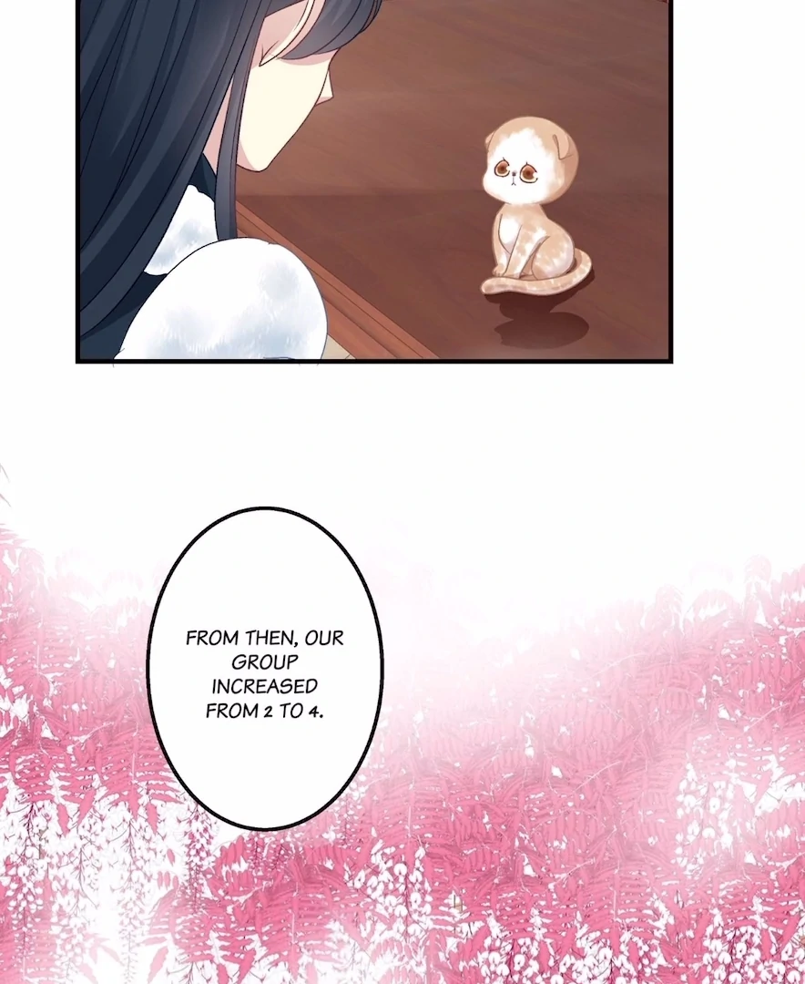 The Temptation of a Cat Demon Chapter 137 - page 42