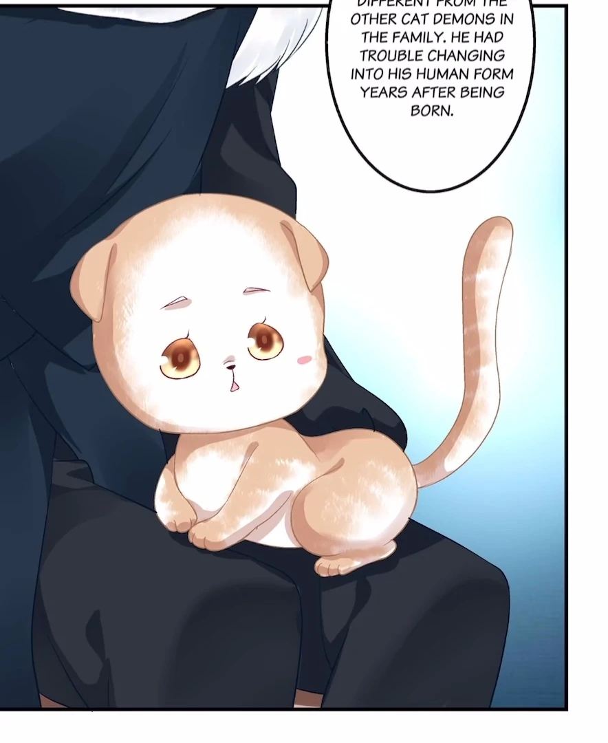 The Temptation of a Cat Demon Chapter 137 - page 46