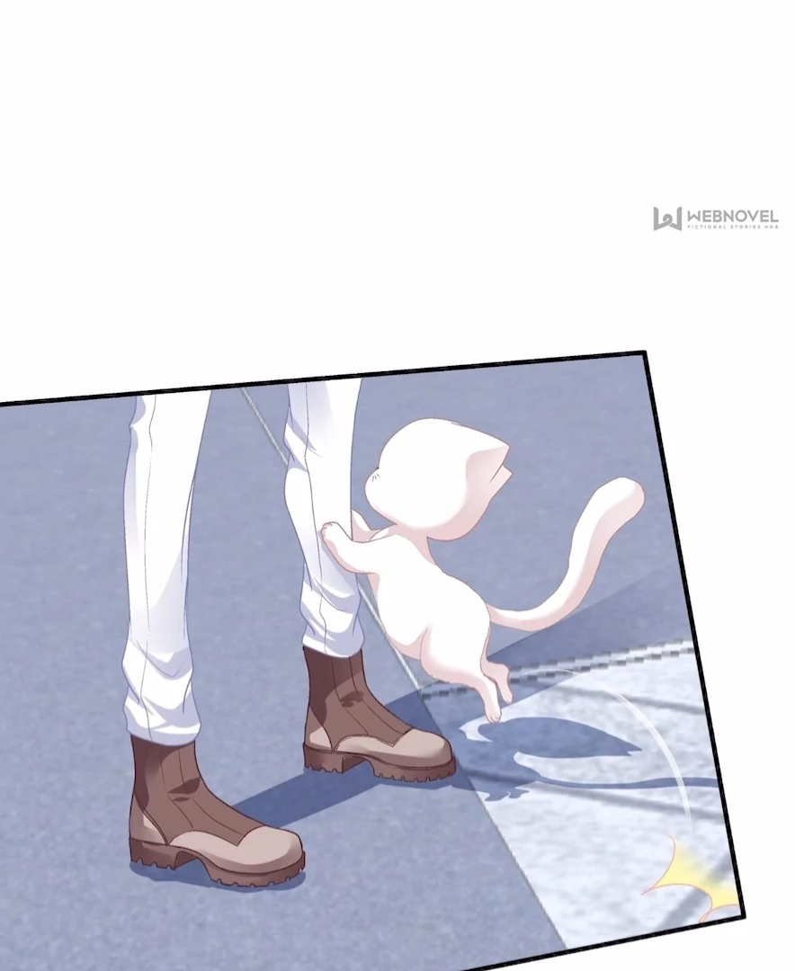 The Temptation of a Cat Demon Chapter 141 - page 49