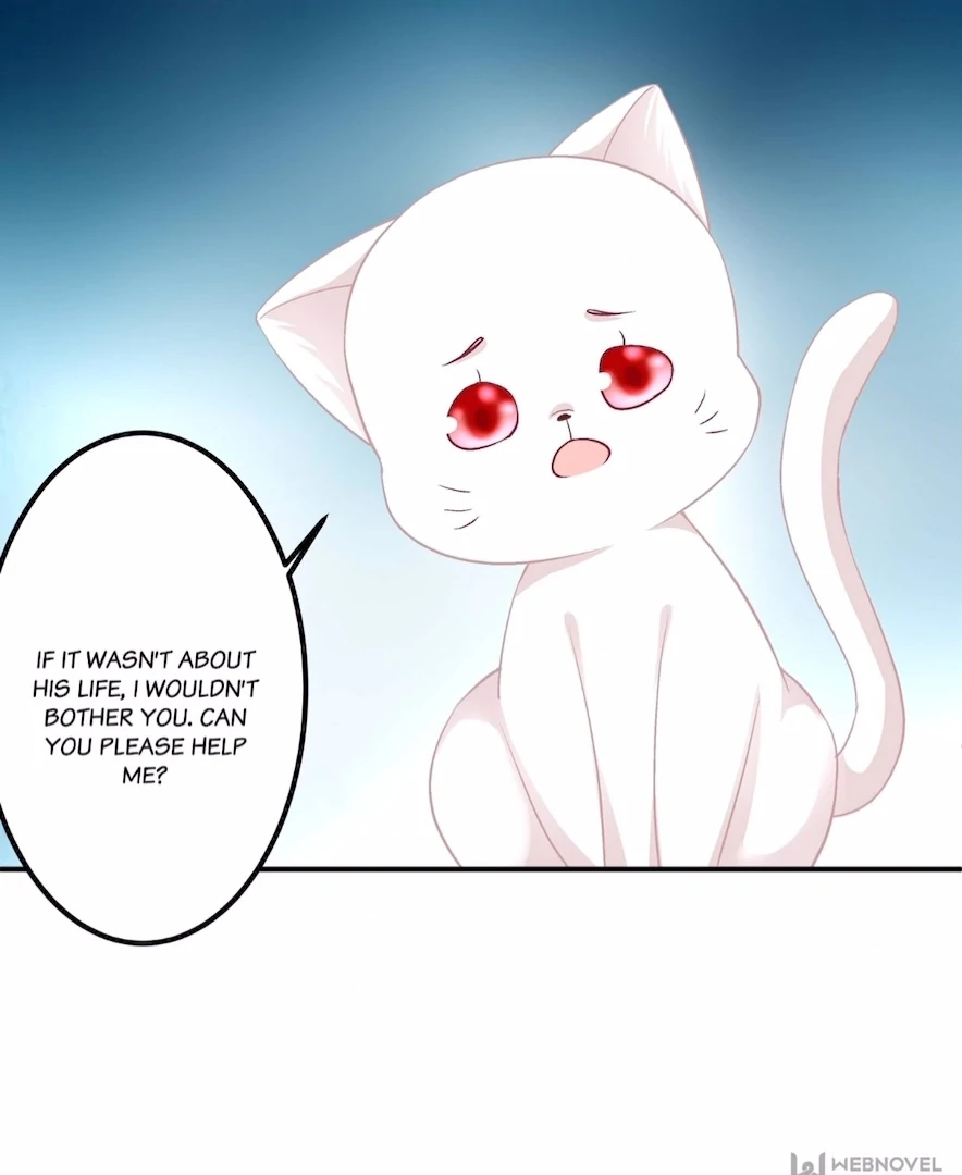 The Temptation of a Cat Demon Chapter 141 - page 70