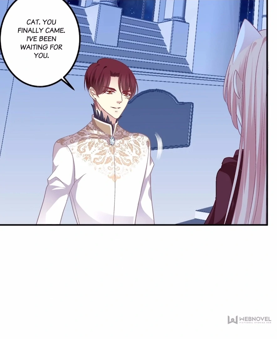 The Temptation of a Cat Demon Chapter 146 - page 25