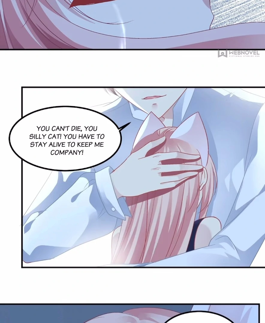 The Temptation of a Cat Demon Chapter 147 - page 90