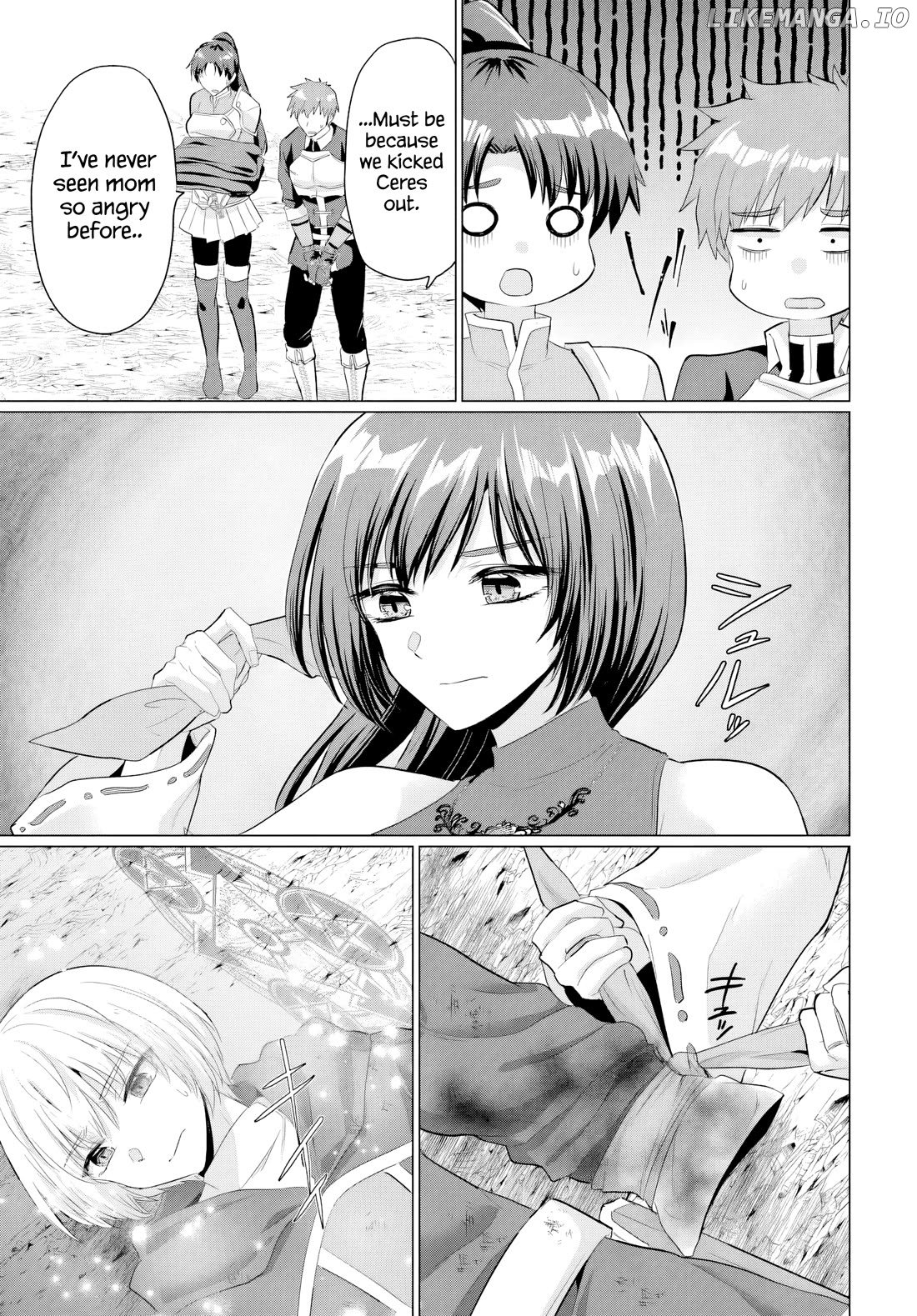 The Hero Took Everything from Me, So I Partied with the Hero’s Mother! Chapter 26 - page 17